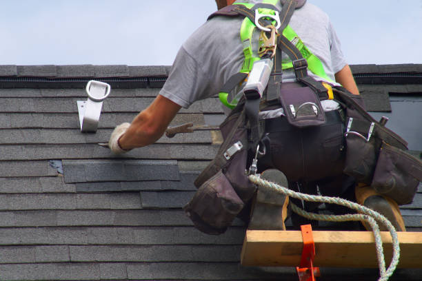 Best Roof Gutter Cleaning  in Angola, IN